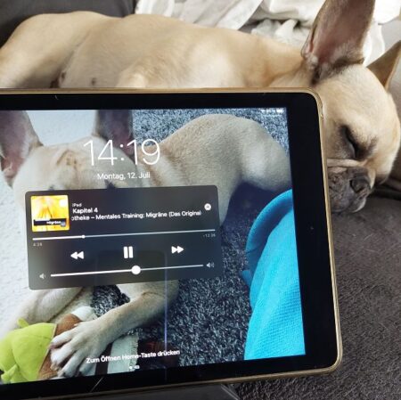 Ipad und Hund auf einem Sofa