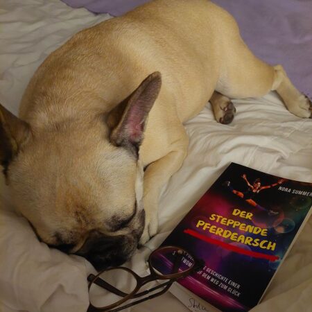 Schlafender Hund mit Buch