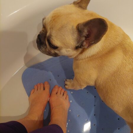 Hund mit Mensch in der Badewanne