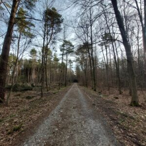 Waldweg