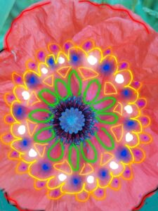 bemaltes Foto, Mohnblüte