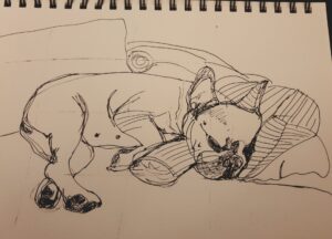 gezeichnete Bulldogge