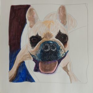 gemalte Französische Bulldogge, in Arbeit