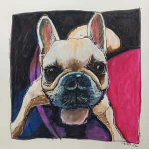 Französische Bulldogge gemalt