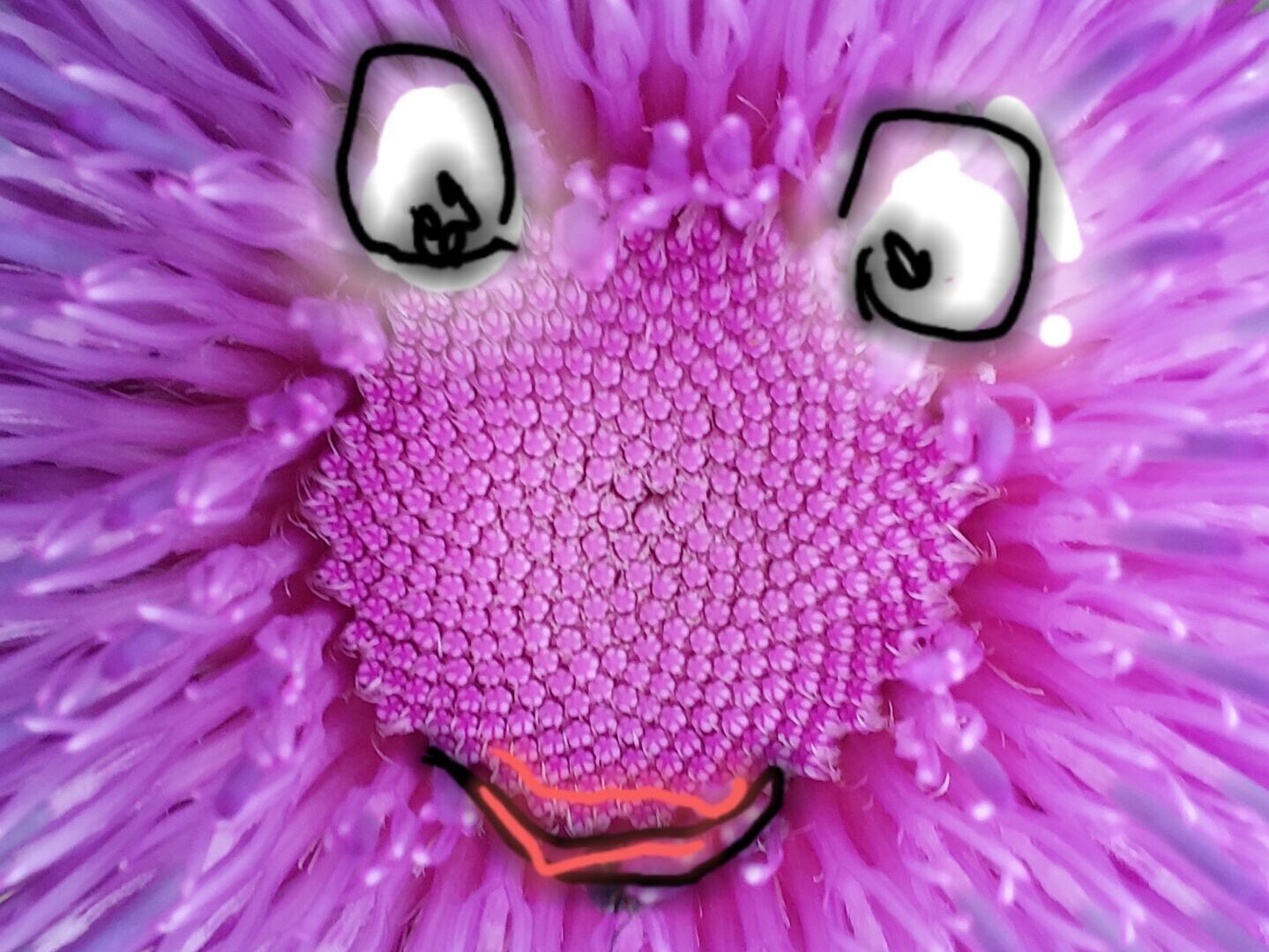 Blume mit Gesicht