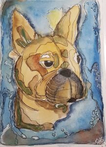 Aquarell Bully
