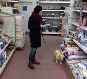 Frau mit Hund im Baumarkt