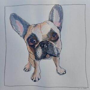 Französische Bulldogge gemalt