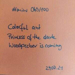 miw49_text handgeschriebenes Gedicht