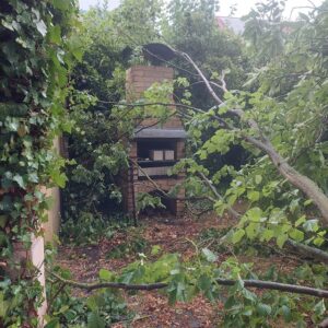 abgerissene Ästen auf Gartenecke