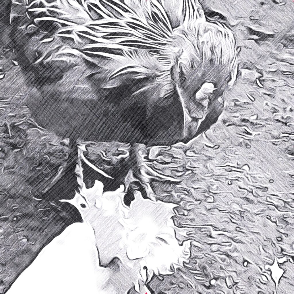 Ein Huhn pickt Salatblätter aus einer ausgestreckten Hand, der Boden ist uneben und strukturiert, das Bild im skizzenhaften Stil.