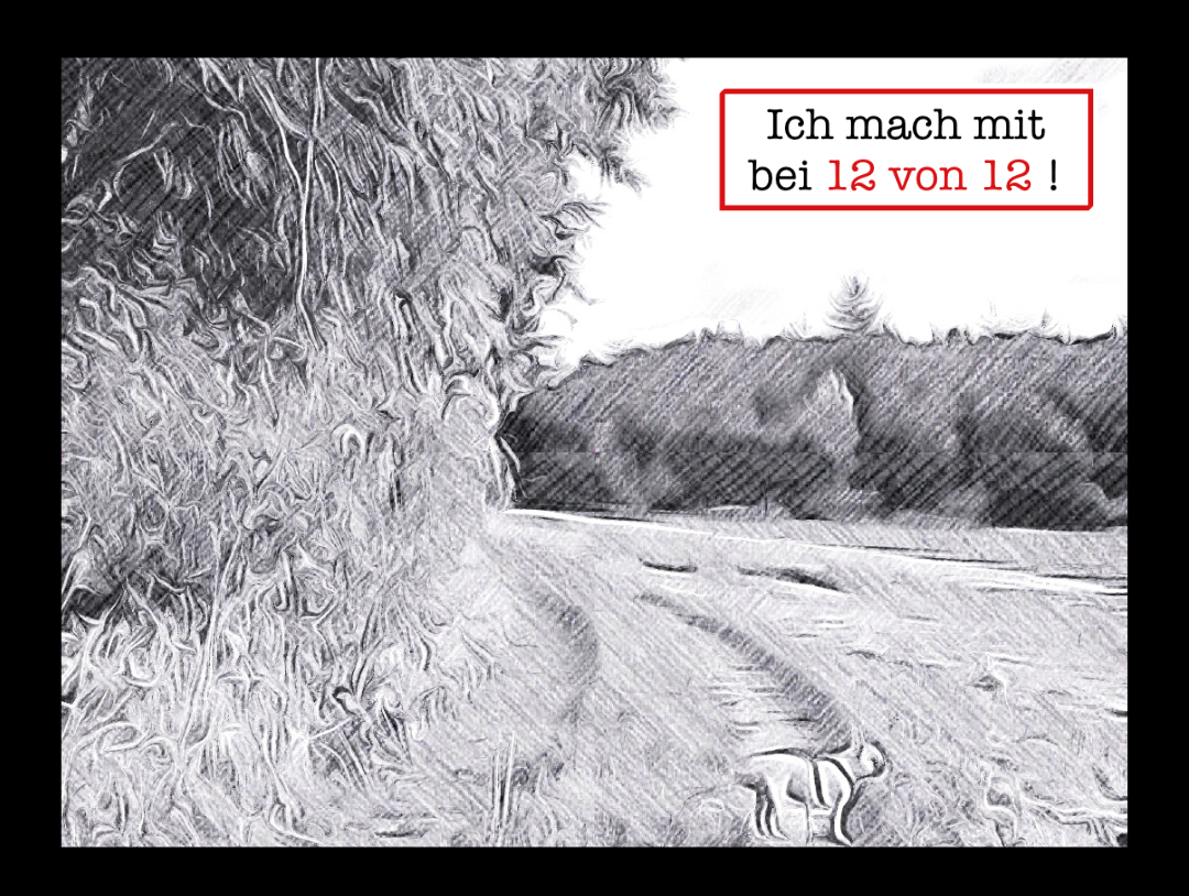 Skizzenhafte Landschaft mit Feldweg, Bäumen und einem kleinen Hund im Vordergrund. In der rechten oberen Ecke steht in einem rot umrahmten Kasten: „Ich mach mit bei 12 von 12 !“ – der Schriftzug ist teilweise rot hervorgehoben.