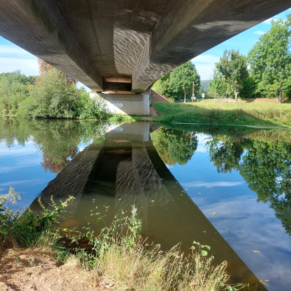 Blick von unterhalb einer Betonbrücke auf einen ruhigen Fluss. Die Struktur der Brücke spiegelt sich deutlich im Wasser, Lichtreflexe tanzen an der Unterseite. Am Ufer wachsen Gräser und Büsche, im Hintergrund sind Bäume und ein Weg erkennbar.