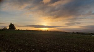 Sonnenaufgang über einem weiten Ackerfeld mit Wolken am Himmel, im Hintergrund Bäume, Häuser und ein Hochsitz.