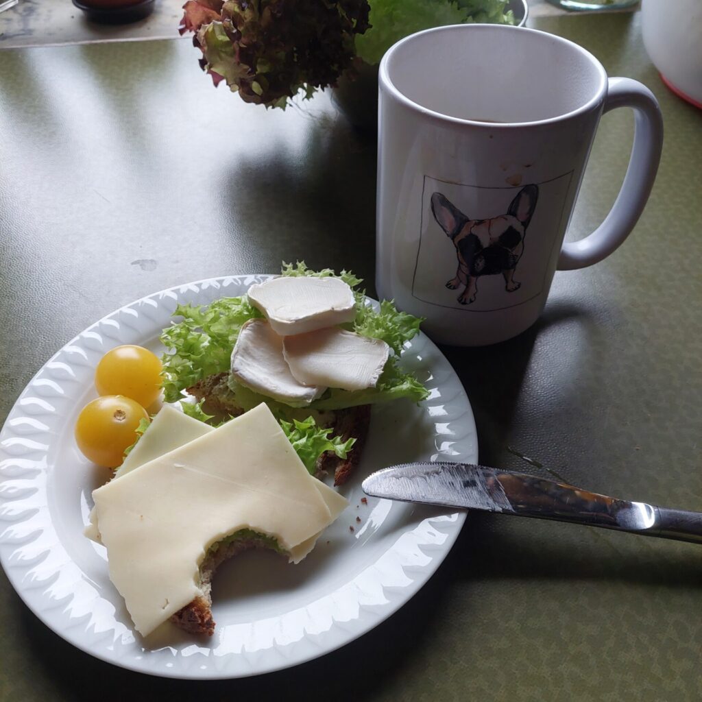 Ein Frühstücksteller mit Brot, Salat, Käse, Ziegenkäse und zwei gelben Tomaten steht neben einer Tasse mit Hundemotiv. Natürliches Licht fällt auf den Tisch.