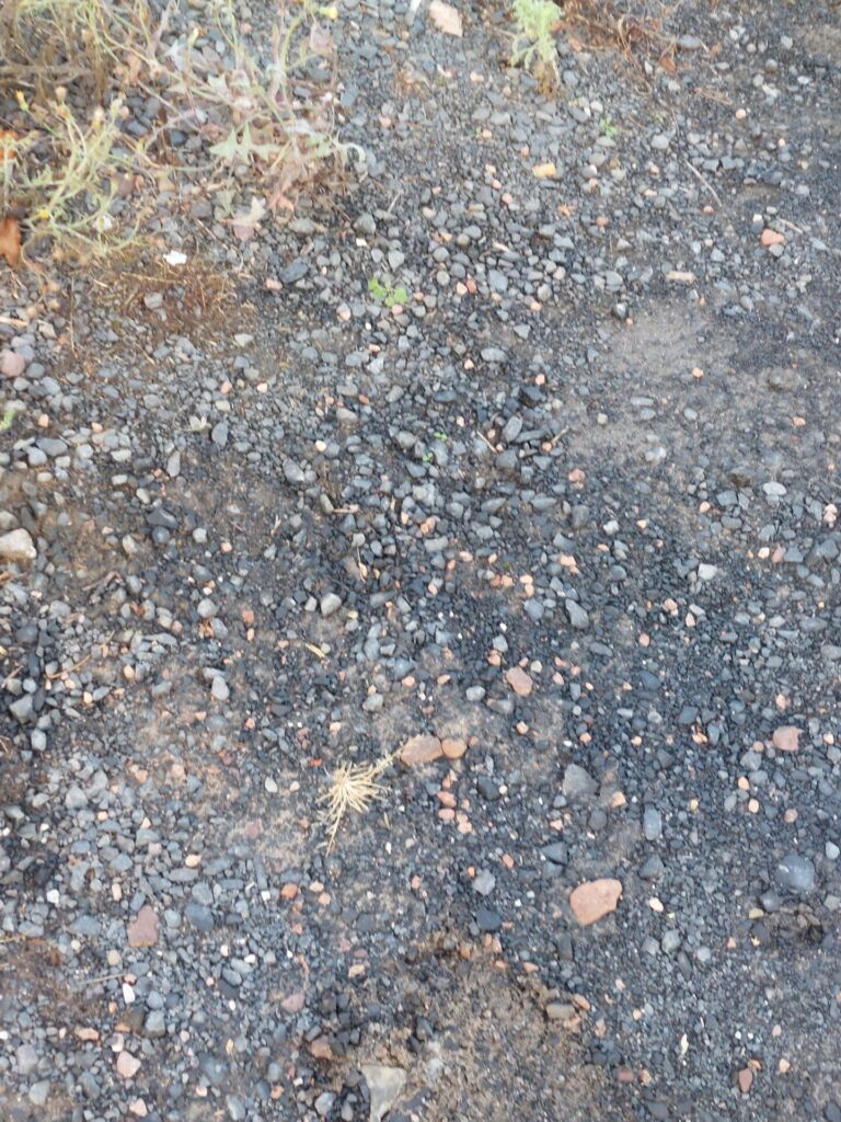 Foto einer geschotterten Parkplatzfläche mit grauen Steinen und einzelnen Pflänzchen – Ausgangspunkt für ein Kunstexperiment.