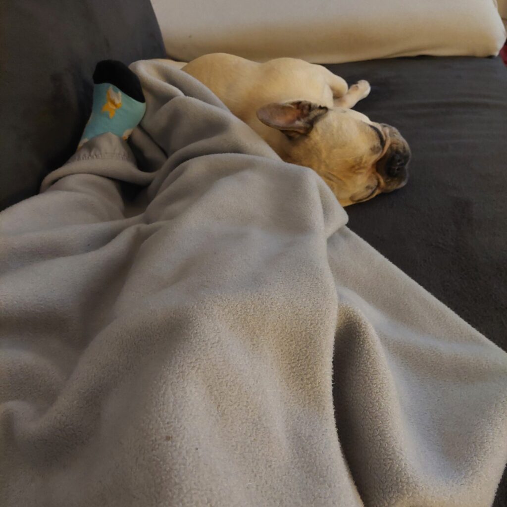Eine Person liegt mit einer Decke auf dem Sofa, neben ihr schläft eine französische Bulldogge. Gemütliche Stimmung beim Musikhören und Entspannen.