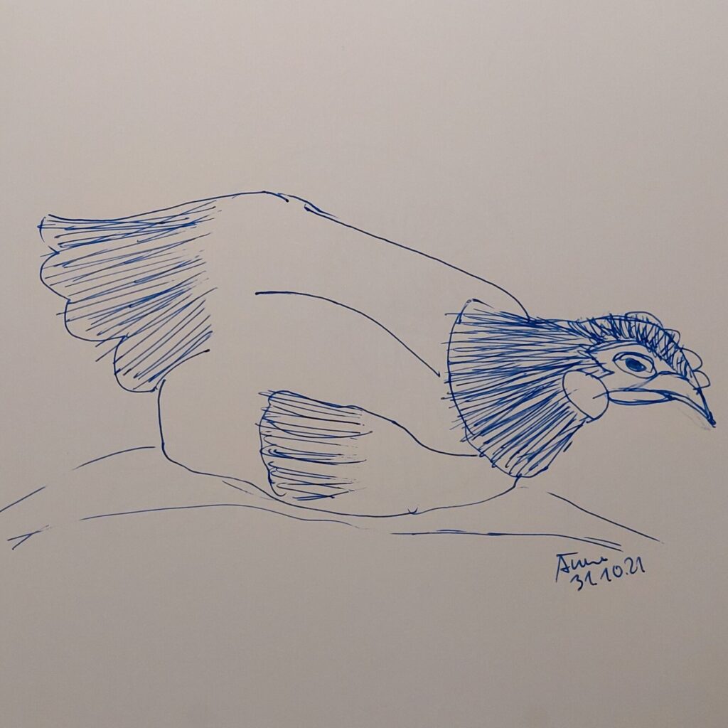 Liegendes Huhn mit aufgerichtetem Kopf, in blauer Tinte gezeichnet