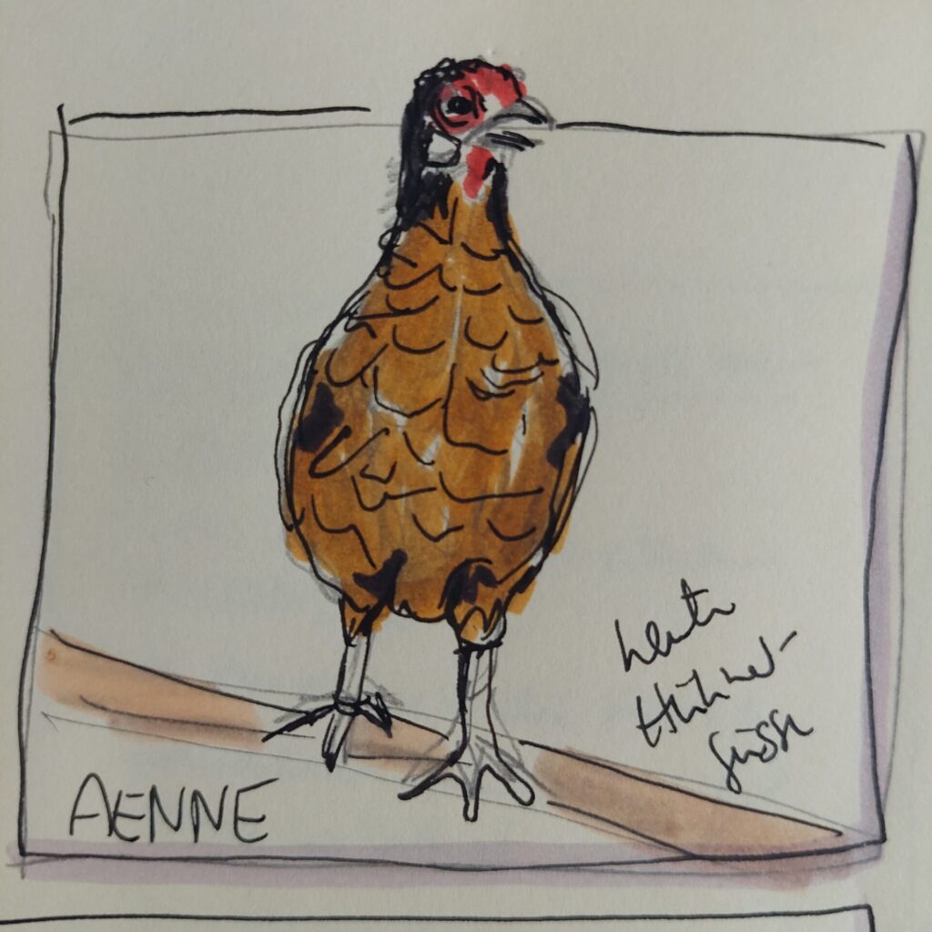 Braunes Huhn mit roten Gesichtspartien steht auf einer Stange, gezeichnet mit Marker und Aquarell