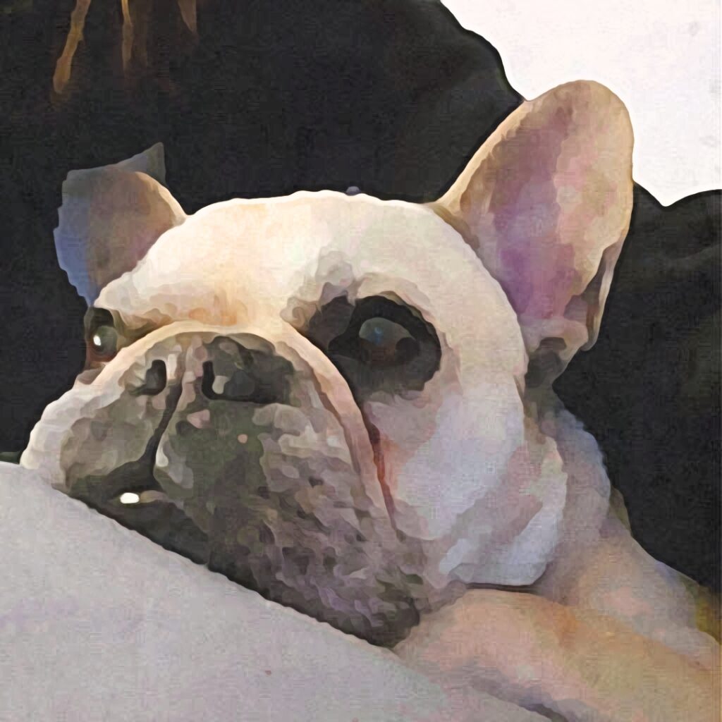 Nahaufnahme eines Hundekopfes, der auf einem Kissen oder einer Decke liegt. Der Hund blickt ruhig in die Kamera, das Bild wirkt weich und leicht verfremdet.