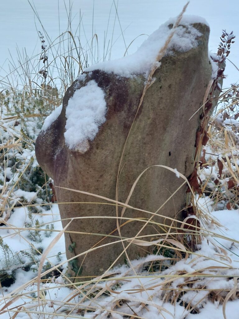 Skulptur eines menschlichen Torsos im Garten. Der Torso steht im Freien und ist mit Schnee bedeckt. Um ihn herum sind winterliche Pflanzen und Boden zu sehen.