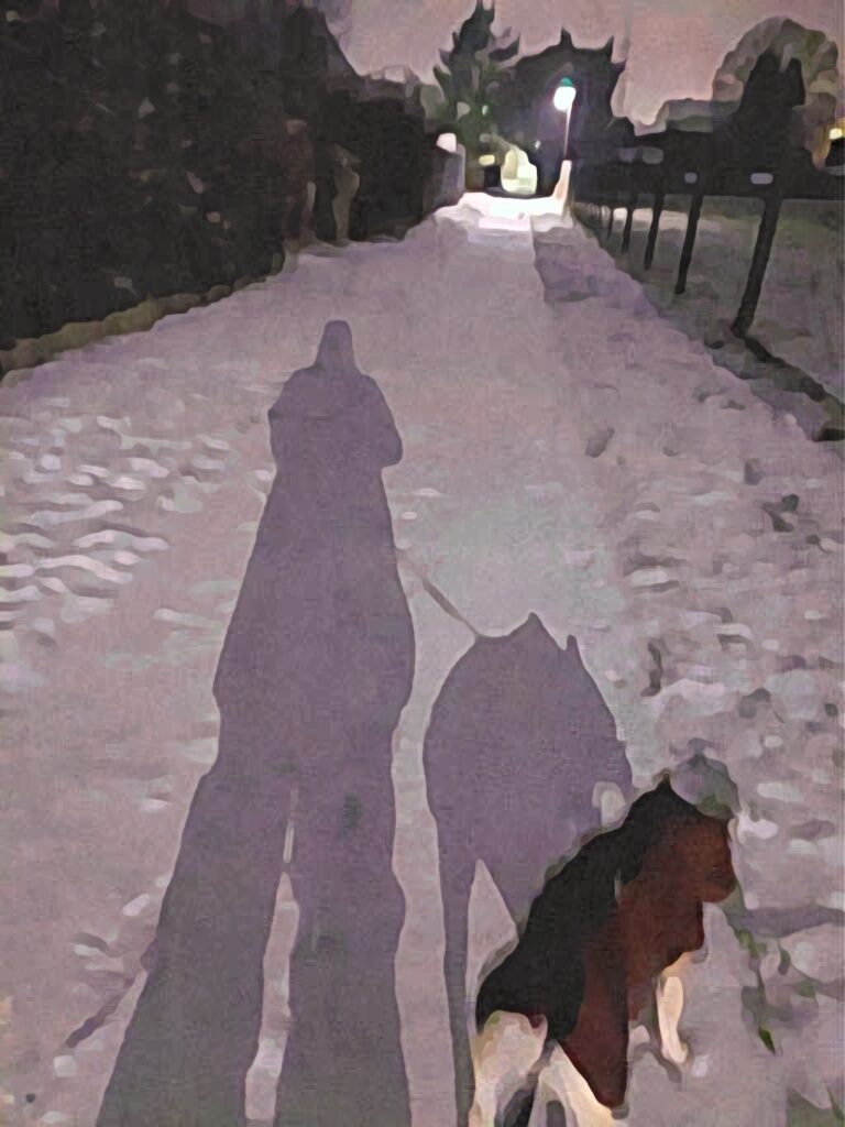 Verschneiter Weg in der Dämmerung. Auf dem Schnee sind die Schatten einer Person und eines Hundes zu sehen. Der Hund trägt etwas im Maul. Im Hintergrund leuchtet eine Straßenlaterne.