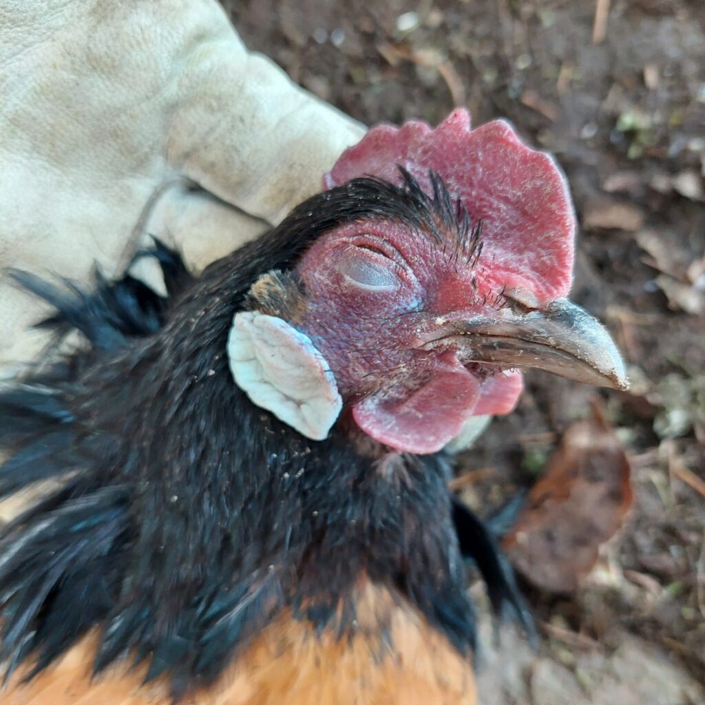 Änne am 3. Dezember 2023 – wenige Minuten nach ihrem Tod, gehalten von einer behutsamen Hand.“