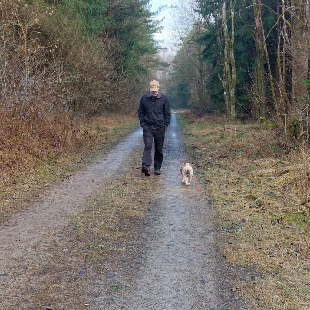 Person geht mit einem kleinen Hund an der Leine auf einem Waldweg zwischen Bäumen.