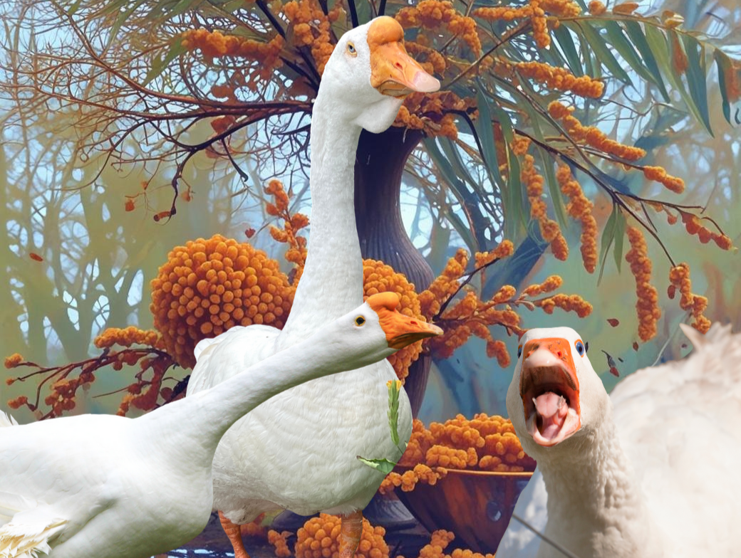 Drei weiße Gänse vor orangefarbenem Sanddorn in einem verfremdeten KI-Bild