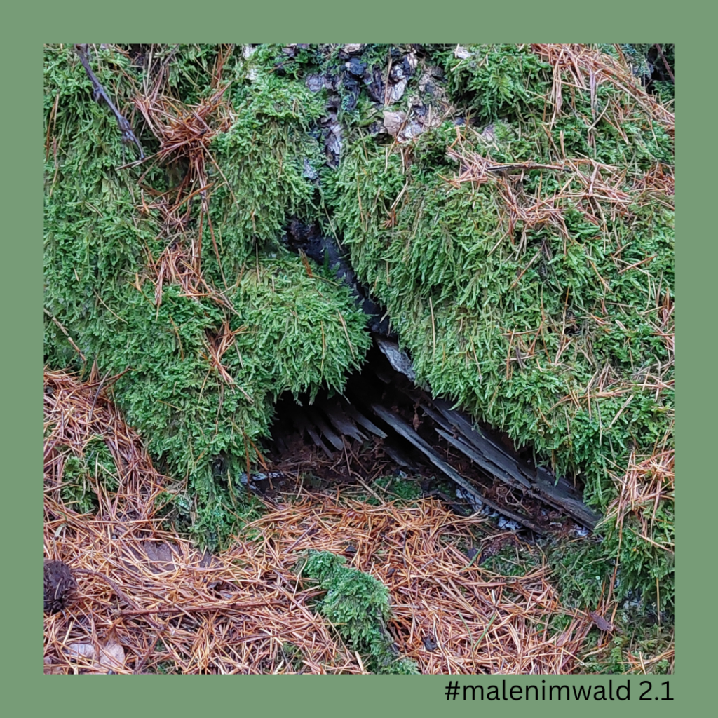 Moosbewachsener Waldboden mit schwarzem, gesplittertem Holz, das an einen Rabenflügel erinnert, Projekt #malenimwald 2.1, 2024.