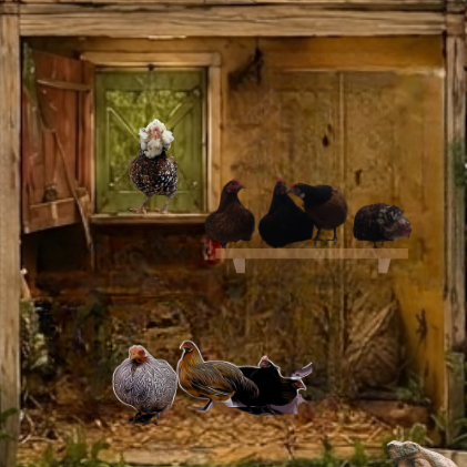 Ausschnitt aus dem Bloghaus: Der Hühnerstall mit Auslauf und Außengehege, in dem mehrere Hühner als Teil des lebendigen Blogalltags zu sehen sind.