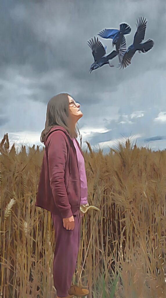 Digital bearbeitete Szene im comicartigen Stil: eine Frau steht im Kornfeld und blickt zu drei schwarzen Krähen am Himmel.