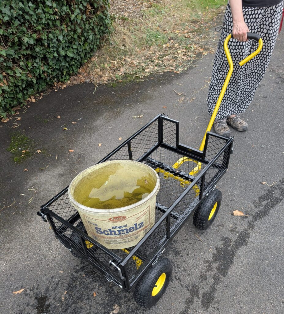 Schwarzer Garten-Bollerwagen mit gelbem Griff und einem großen Wassereimer auf einem Gartenweg.